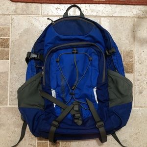 Pre loved Patagonia Backpack